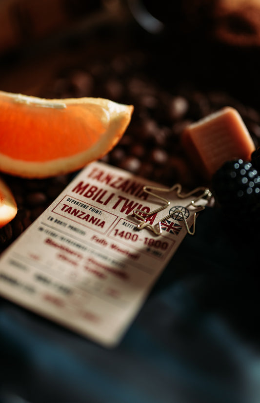 Tanzania Mbili Twiga